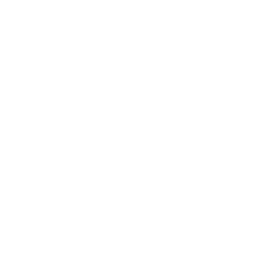 Customizable animation