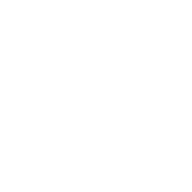 Dashboard animation